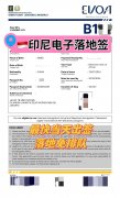 印尼EVOA電子落地簽當天出簽 入境不排隊